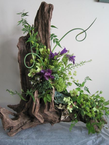 arrangement on driftwood, Françoise Weeks Takken Decor, Driftwood Centerpiece, Succulent Centerpiece, Flowers And Greenery, Succulent Centerpieces, Church Flowers, Deco Floral, Driftwood Art, Arte Floral