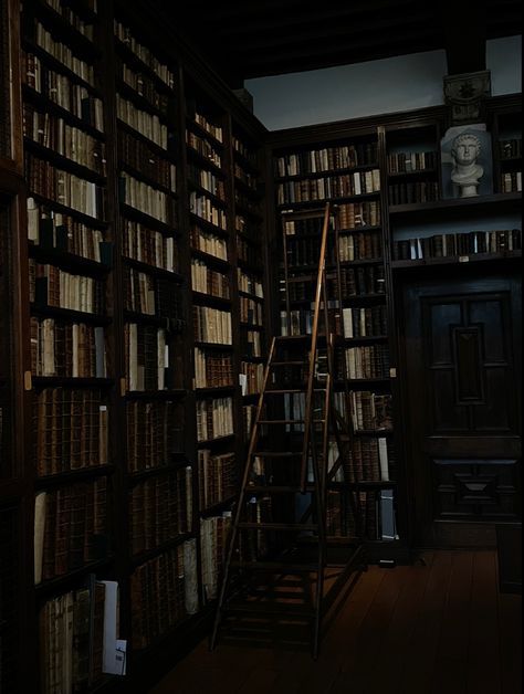 Dark Library Aesthetic, Gothic Academia Aesthetic, The Secret History Aesthetic, Academia Aesthetic Wallpaper, Gothic Academia, Old Libraries, Academia Aesthetics, Dark Academy, Scotland Tours