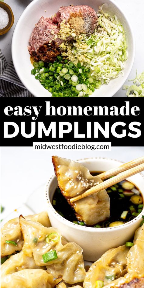 Homemade Dumplings Recipe, Pork Dumplings, Homemade Chinese Food, Wonton Recipes, Pork Dumpling, Homemade Dumplings, Chinese Cooking Recipes, Dumplings Recipe, Easy Chinese Recipes