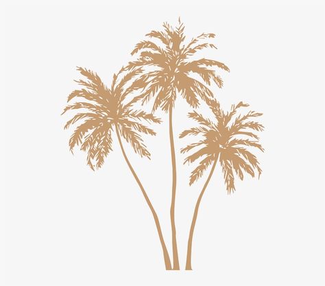 Palm Gold, Gold Palm Leaves, Palm Tree Png, Gold Palm Tree, Free Icons Png, Leaves Png, Colour Pallets, Garden Inspo, Palm Tree Leaves