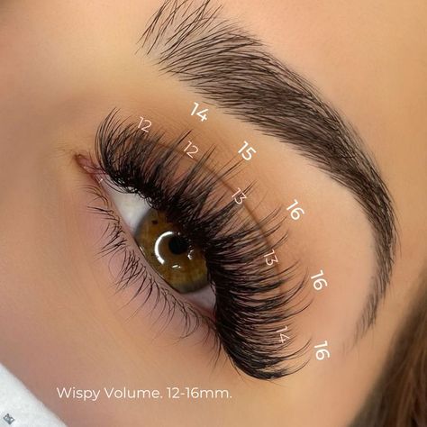 Natural Fake Eyelashes, Lash Extentions, Best Lash Extensions, Lashes Fake Eyelashes, Wispy Eyelashes, Lash Extensions Styles, Eyelash Extensions Styles, Perfect Eyelashes, Pretty Lashes