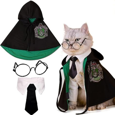 Harry Potter Cat Costume #harrypottercat #catcostume #halloweencat Costume Dinosaure, Pet Magic, Pet Event, Pet Costumes Cat, Cat Cosplay, Chat Halloween, Cat Halloween Costume, Pet Halloween Costumes, Cat Halloween