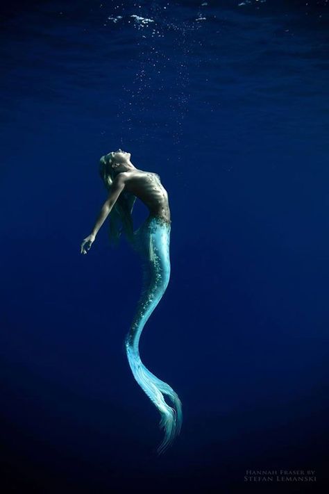 Siren Energy, Professional Mermaid, Mermaid Photography, Mermaid Artwork, Frida Art, Fantasy Mermaids, Mermaid Photos, Under The Water, Mermaid Drawings