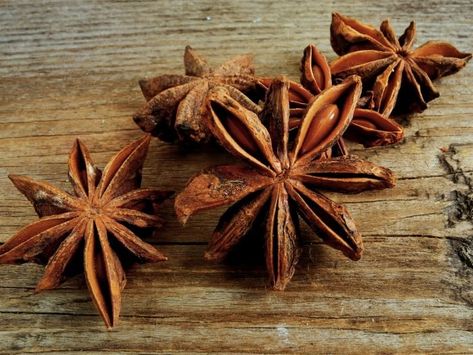 Anise Tea Benefits, Star Anise Benefits, Star Anise Tea, Tea Infusion Recipes, Cinnamon Benefits, Anise Seed, Herbs For Health, Tea Benefits, Healing Food