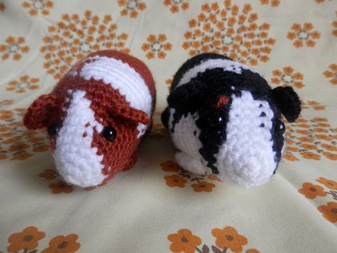 I made a thing, custom crochet guinea pigs. Crochet Guinea Pig Pattern Free, Custom Crochet, Newborn Crochet, Crochet Animals, Guinea Pigs, Crochet Amigurumi, Free Pattern, Amigurumi, Crochet