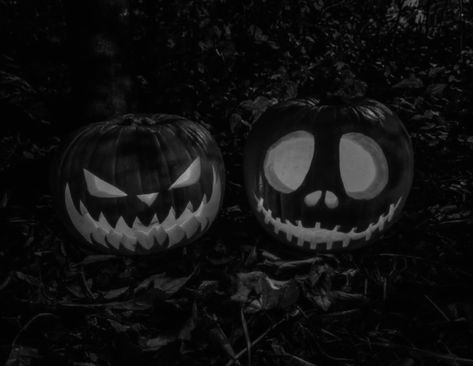 Black And White Halloween Widget, Wigets Pictures Aesthetic Black, Black And White Aesthetic Halloween, Grey Halloween Aesthetic, Gray Halloween Aesthetic, Halloween Black Aesthetic, Halloween Aesthetic Black And White, Halloween Black And White Aesthetic, Black And White Halloween Aesthetic