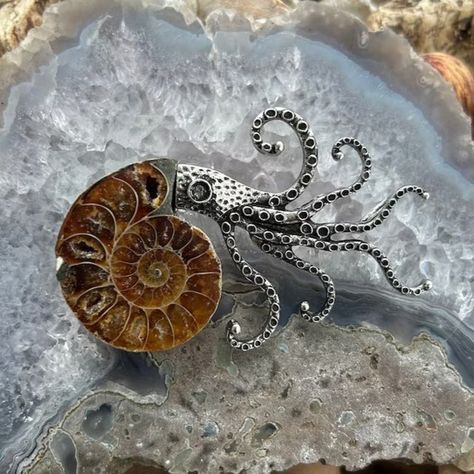 Unique AMMONITE Fossil Pendant or Brooch. 25% off sale happening now! https://nevermorekeep.etsy.com/listing/1749686865 www.etsy.com/shop/NevermoreKeep Real Ammonite fossil with an antique silver tone squid head. The back has a pin, as well as a bail loop, where you can add your own chain, and wear it as a necklace. Or, just simply display! Its that gorgeous! Ammonites are sea creatures that lived 240 to 65 million years ago. They were personally acquainted with dinosaurs. Descendants of t... Ammonite Crystal Meaning, Ammonite Jewelry Handmade, Ammonite Fossil Meaning, Opalized Ammonite, Ammonite Crystal, 25% Off Sale, The Nautilus, Fossil Jewelry, Ammonite Fossil