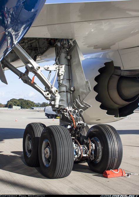 Closeup view of the main landing gear of Boeing 787-8 Dreamliner. Aircraft Landing Gear, Boeing 787 8, Boeing 787 Dreamliner, Commercial Plane, Airplane Car, Aircraft Mechanics, Aircraft Maintenance, Airplane Photography, Boeing Aircraft