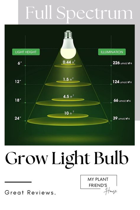 HIGHER EFFICIENCY: LED grow bulb with high light transmission improves plant absorption more effectively. Grow Lights Diy, Light Bulb Plant, Best Grow Lights, Growing Bulbs, Grow Light Bulbs, Indoor Greenhouse, Plant Light, Grow Lights For Plants, Led Grow Light