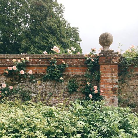 Secret Garden Aesthetic, Walled Gardens, Garden Aesthetic, John Muir, English Countryside, Nassau, English Garden, Dream Garden, Sedona