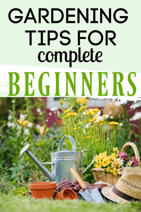 If you've been search for gardening tips for beginners- look no further. This list of tips and tricks for first time gardeners comes straight from a master gardener of 37 years so you can start your own successful garden! For vegetables, flowers, organic gardens, herbs, spring and summer. #gardeningtips #gardening #vegetablegarden #howtogarden #garden #beginnergardener Gardening Gadgets, Garden 101, Starter Garden, Gardening For Dummies, Gardening Tips For Beginners, Lasagna Gardening, Garden Gadgets, Beginner Gardening, Starting A Garden