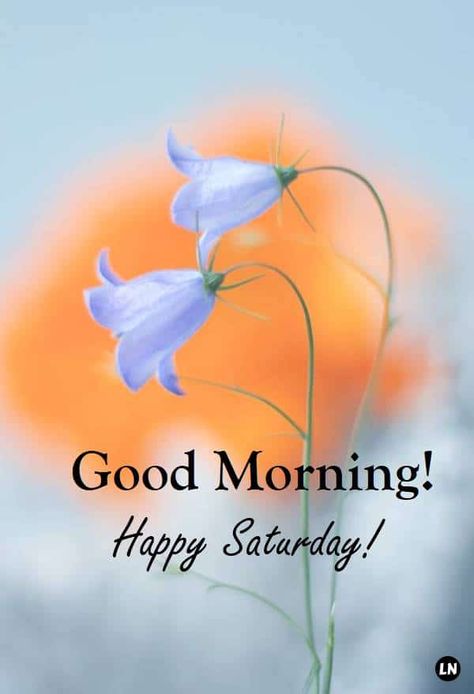 Good Morning Happy Saturday Image, Good Morning Weekend, Saturday Good Morning, Happy Saturday Pictures, Good Morning Hd Images, Blessed Saturday, Good Saturday Morning, Good Morning Saturday Images, Good Morning Hd