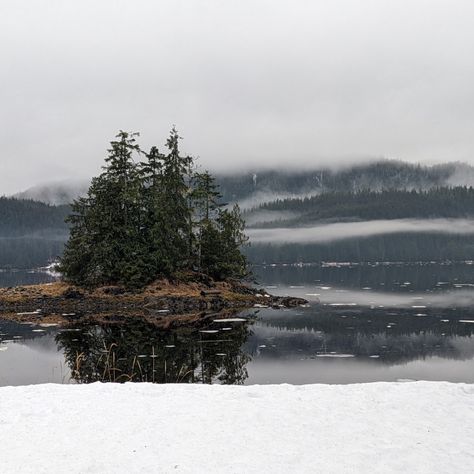 Southeast Alaska - Thorne Bay by Mandy Ritenour Alaska Images, Southeast Alaska, Book Vibes, Bay Photo, Email Marketing Newsletter, Display Advertising, Retail Merchandising, Social Media Advertising, Print Advertising