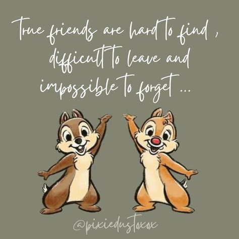 Disney Best Friends Characters, Chip And Dale Tattoo, Chip And Dale Tattoo Ideas, Chip And Dale Drawing, Chip And Dale Silhouette, Disney Quotes About Friendship, Disney Friendship Quotes, Disney Friendship, Whinnies The Pooh Quote Friendship