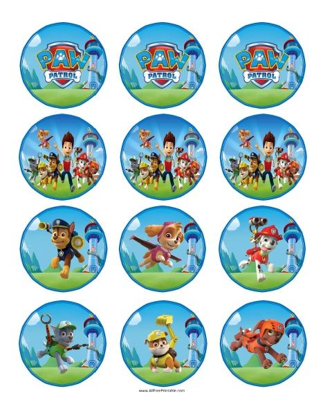 Paw Patrol Cupcake Toppers Kids Birthday Pictures, Paw Patrol Water Bottle, Paw Patrol Chase Cake, Paw Patrol Printables Free, Paw Patrol Party Printables, Paw Patrol Stickers, Paw Patrol Printables, Paw Patrol Cupcakes, Paw Patrol Decorations