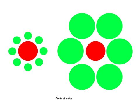 What is contrast in the principles of design - Graphic Design Fundamentals Principles Of Design Contrast, Shape Typography, Elements And Principles Of Design, The Principles Of Design, Design Fundamentals, Sketches Ideas, Elements And Principles, Principles Of Art, Principles Of Design