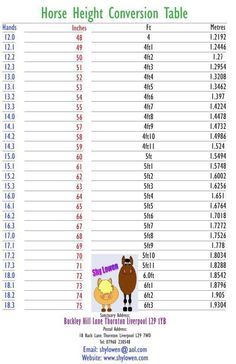 Horse Hand Conversion  Table Horse Height Chart, Horse Hacks, Horse Lessons, Horse Knowledge, Riding Tips, Horse Exercises, Horse Facts, Horse Care Tips, Horse Info