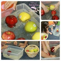 Sink or Float Apple Experiment Apple Sink Or Float, Preschool Apple Week, Apple Experiment, Preschool Apples, Preschool Homeschooling, Apple Week, Preschool Apple Theme, September Preschool, Apple Kindergarten