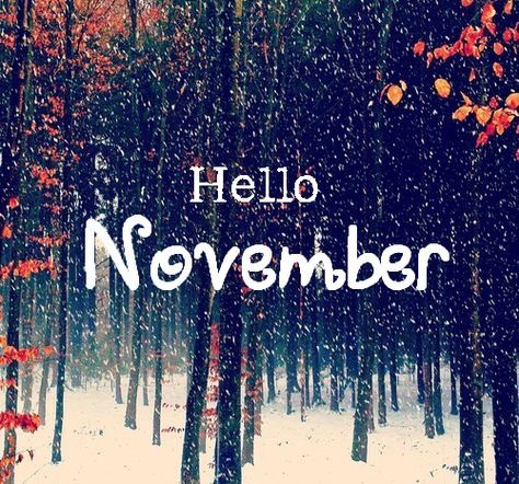 Hello Novembre, Happy Fall Yall Wallpaper, Hallo November, November Hello, November Pictures, November Images, Neuer Monat, Welcome November, November Quotes