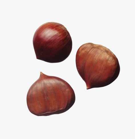 Png For Moodboards, Chestnut Aesthetic, Autumnal Cottagecore, Decaying Fruit, App Icon Fall, Non Flowering Plants, Niche Png, Brown Png, Moodboard Png