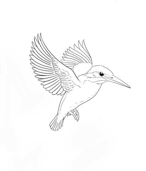 Kingfisher bird How To Draw A Kingfisher, King Fisher Tattoo Ideas, Kingfisher Tattoo Design, Kingfisher Bird Tattoo, Kingfisher Sketch, King Fisher Tattoo, Kingfisher Bird Drawing, Kingfisher Drawing, Laucala Island