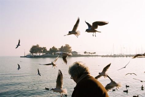 The Ocean, Nikon, Film, Water, Photography