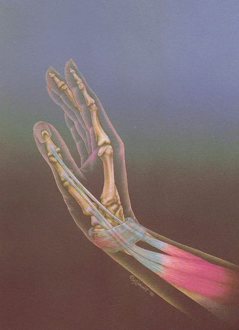 70s Sci-Fi Art: Anyone know the artist for this one? Couldn’t find... Sensory Art, Aura Colors, Scientific Illustration, Medical Illustration, Ethereal Art, Anatomy Art, Retro Futurism, A Drawing, Wall Collage