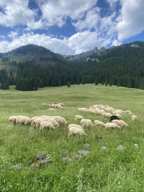 Mountain Aesthetic Landscape, Sheep Landscape, Cottagecore Life, Aesthetic Landscape, Mountain Aesthetic, Bible Verse Background, Farm Lifestyle, East Of Eden, Cottagecore Aesthetic