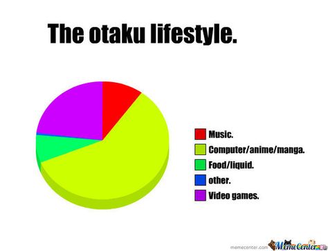 Otaku Problems, Otaku Issues, Anime Lover, Anime Memes Funny, Anime Meme, I Love Anime, Anime Life, Anime Quotes, Random Anime