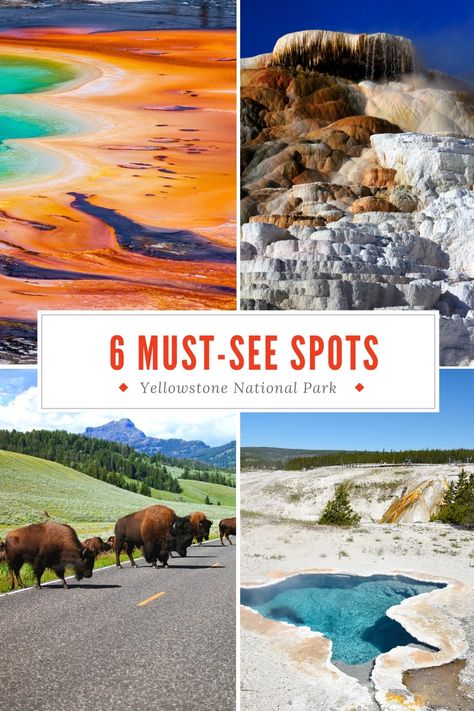 Top Things To See In Yellowstone National Park, Yellowstone National Park Geyser, 2 Days In Yellowstone National Park, Road Trip To Yellowstone National Park, Yellowstone Trip Itinerary, Things To Do In Yellowstone Park, Yellowstone Planning, Yellowstone Photos, Yellowstone National Park Itinerary