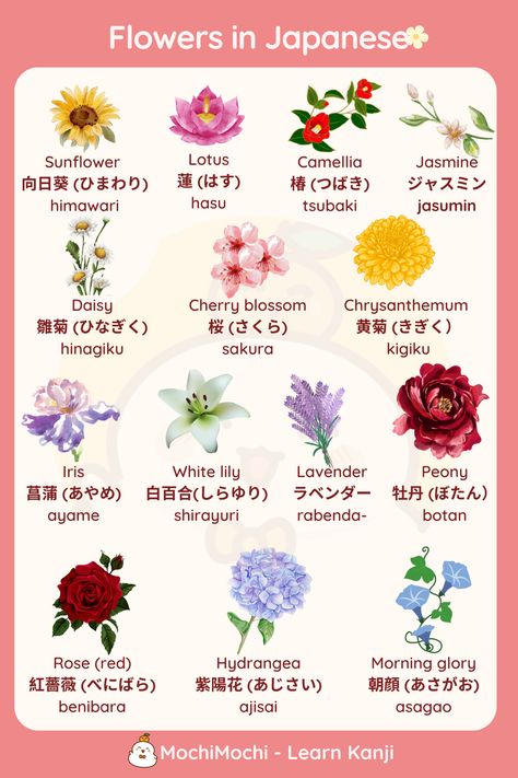 You want to learn Japanese to find out Japan culture or whatever, but don’t know how to start? Let’s start learning Japanese with this website: https://kanji.mochidemy.com #flowersvocabulary #flowersinjapanese #learnjapanese #japaneseforbeginners #Japanesevocabulary #japanesephrase #jobs #flowers #flowersvocabulary Japanese Flower Names, Learn Kanji, Beautiful Japanese Words, Japanese Pictures, Learn Basic Japanese, Japanese Lotus, Basic Japanese, Basic Chinese, Bahasa Jepun