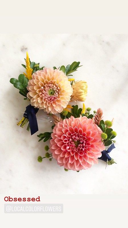 F0AA1184-D21D-4966-932C-752484260DB4 | Local Color Flowers Baltimore | Flickr Dahlia Corsage Wedding, Dahlia Boutonniere Wedding, Small Dahlia Bouquet, Dahlia Boutineer, Zinnia Boutonniere, Dahlia Buttonhole, Dahlia Corsage, Dahlia Boutonniere, Bridesmaids Bouqet