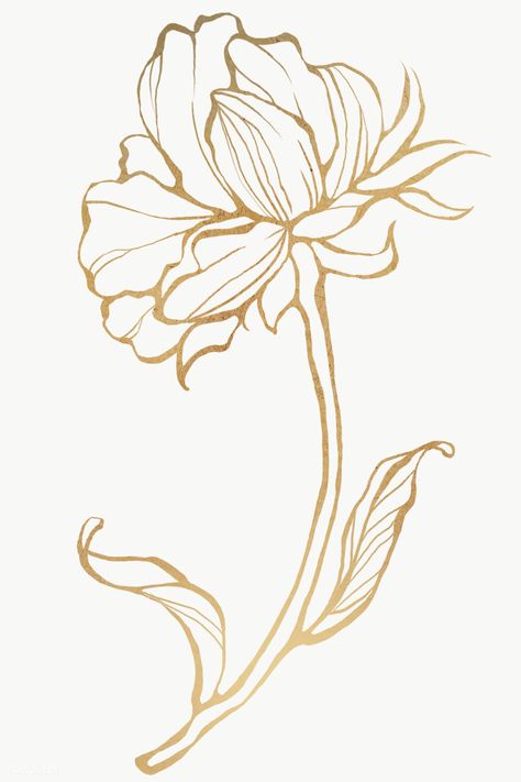 Gold Line Png, Drawing Gold, Line Png, Line Art Flowers, Leaf Outline, Tree Drawings Pencil, Flower Outline, Transparent Flowers, Outline Art