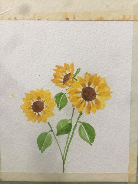 Bright and Cheery Watercolor Sunflowers Water Colour Sunflowers, Easy Watercolor Sunflower, Sunflowers Painting Easy, Sunflower Painting Simple, Watercolor Art Sunflower, Sunflower Easy Painting, Paint Sunflowers Easy, Sunflower Drawing Watercolor, Simple Sunflower Painting