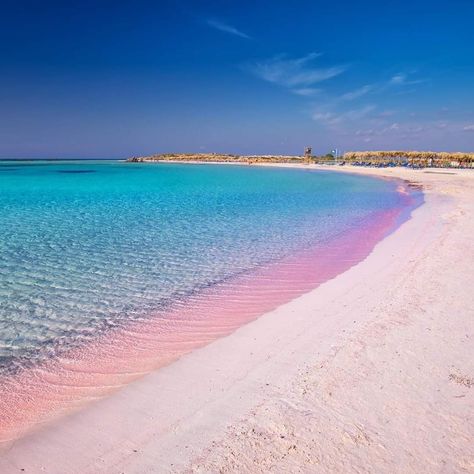 Elafonissi Beach, Crete Beaches, Crete Island Greece, Dreamy Places, Dream Honeymoon, Greece Vacation, Voyage Europe, Crete Greece, Dream Travel Destinations