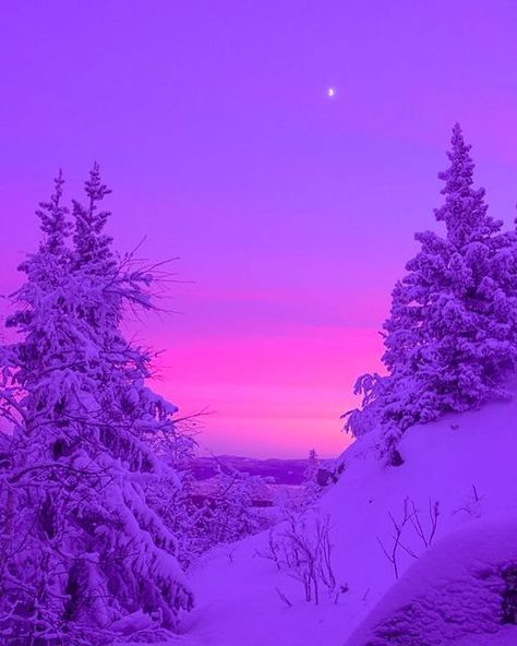 Aesthetic Content, Vaporwave Aesthetic, Winter Sunset, Purple Christmas, Neon Aesthetic, Purple Walls, Winter Wallpaper, Purple Sky, Winter Scenery