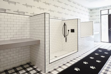 Luxury Apartment Building, Marble Bathroom Floor, Dog Grooming Shop, Dog Spa, Dog Washing Station, Dog Hotel, Dog Room, Pet Resort, Pet Hotel