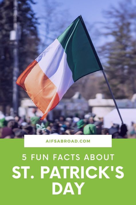 Ireland Culture, Green Clothes, Irish Words, Corned Beef And Cabbage, Beef And Cabbage, Erin Go Bragh, Irish Culture, Corn Beef And Cabbage, Irish Flag