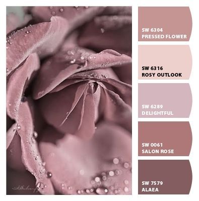 Sherwin Williams Mauve Paint Colors, Sherwin Williams Mauve, Bedroom Colors Sherwin Williams, Dusty Rose Color Palette, Rose Paint Color, Pink Paint Colors, Paint Color Schemes, Color Schemes Colour Palettes, Neutral Paint Colors