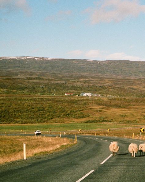 Rich blue hues, gentle streams, and you. Postcards from Iceland on 35mm film - by yours truly #icelandelopement #icelandelopementphotographer #icelandroadtrip #icelandonfilm #filmphotographer Iceland On Film, 35 Mm Film Photography, Iceland Aesthetic, Aesthetic Film, Iceland Road Trip, Film Photographers, On Film, 35mm Film, Yours Truly