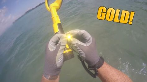 We Went Out Metal Detecting Underwater in the ocean and found loads of epic coins and even gold! Using the nokta makro pulsedive metal detector Metal Detecting, Metal Detector, In The Ocean, Live Lokai Bracelet, The Ocean, Gold Ring, Ring, Gold