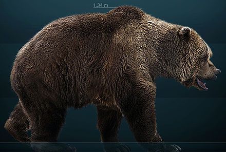 Cave Bear Rendering Clan Of The Cave Bear, Short Faced Bear, Bear Facts, Prehistoric Planet, Bear Species, Paleolithic Era, Early Man, Cave Bear, Wooly Mammoth