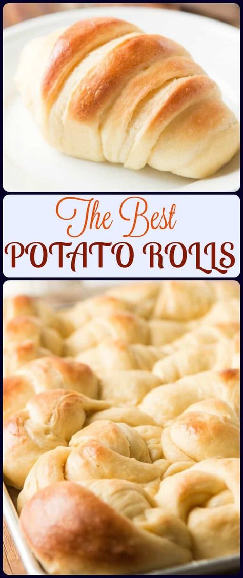 The BEST Potato Rolls - Oh Sweet Basil Best Rolls, Potato Rolls Recipe, Pasta Beef, Dessert Pasta, Frozen Rolls, Cup Of Cake, Oh Sweet Basil, Potato Rolls, Potato Flakes