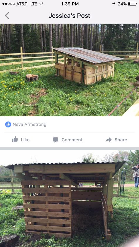 Pallet pig shelter Pallet Pig House, Pallet Pig Shelter, Pig Shelter Ideas, Pallet Pig Pen, Pallet Goat Shelter, Pig Pen Ideas, Pallet Shelter, Goat Pens, Pig Enclosure