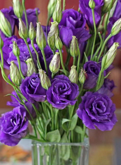 AJ in the Kitchen - Food and Wine Journal - Purple Lisianthus Floral Mirror Frame, Purple Lisianthus, Blue Flowers Garden, Wine Journal, Rose Belle, Purple Wedding Flowers, Purple Garden, Flower Bucket, Purple Home