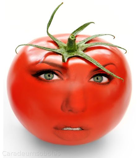 Tomato Face, Annoying Orange, Goofy Drawing, Spongebob Funny, Dreamcore Weirdcore, Red Icons:), Funny Emoji, Funny Profile, Silly Images