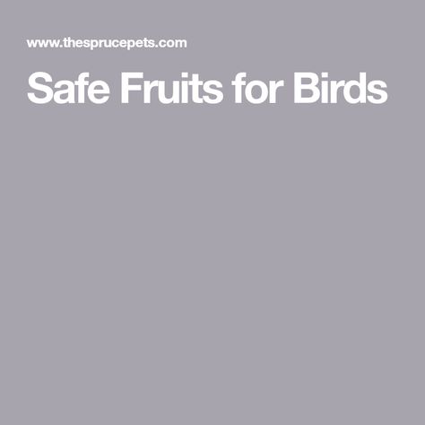 Safe Fruits for Birds Types Of Fruit, Birdcages, Pet Bird, Bananas, Pet Birds, Apples, Your Pet, Birds, Fruit