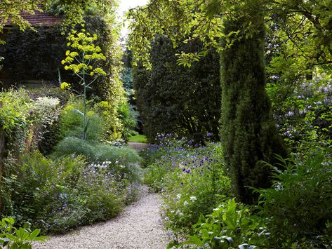 Mary Mary Quite Contrary, Mary Quite Contrary, Famous Gardens, British Garden, Australian Garden, Cottage Garden Design, Future Garden, Mary Mary, Olive Gardens