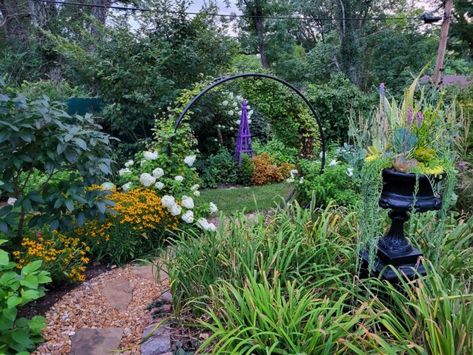 Fine Gardening Magazine, Shade Loving Perennials, Hydrangea Quercifolia, Medicinal Garden, Oakleaf Hydrangea, Creeping Jenny, Kangaroo Paw, Fine Gardening, Garden Kits