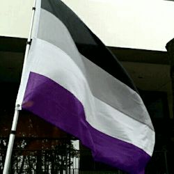 San Francisco Pride Parade, Ace Flag, Ace Pride, Asexual Pride, Pride Parade, Lgbtq Pride, Lgbt Pride, Grimm, Pride Flags